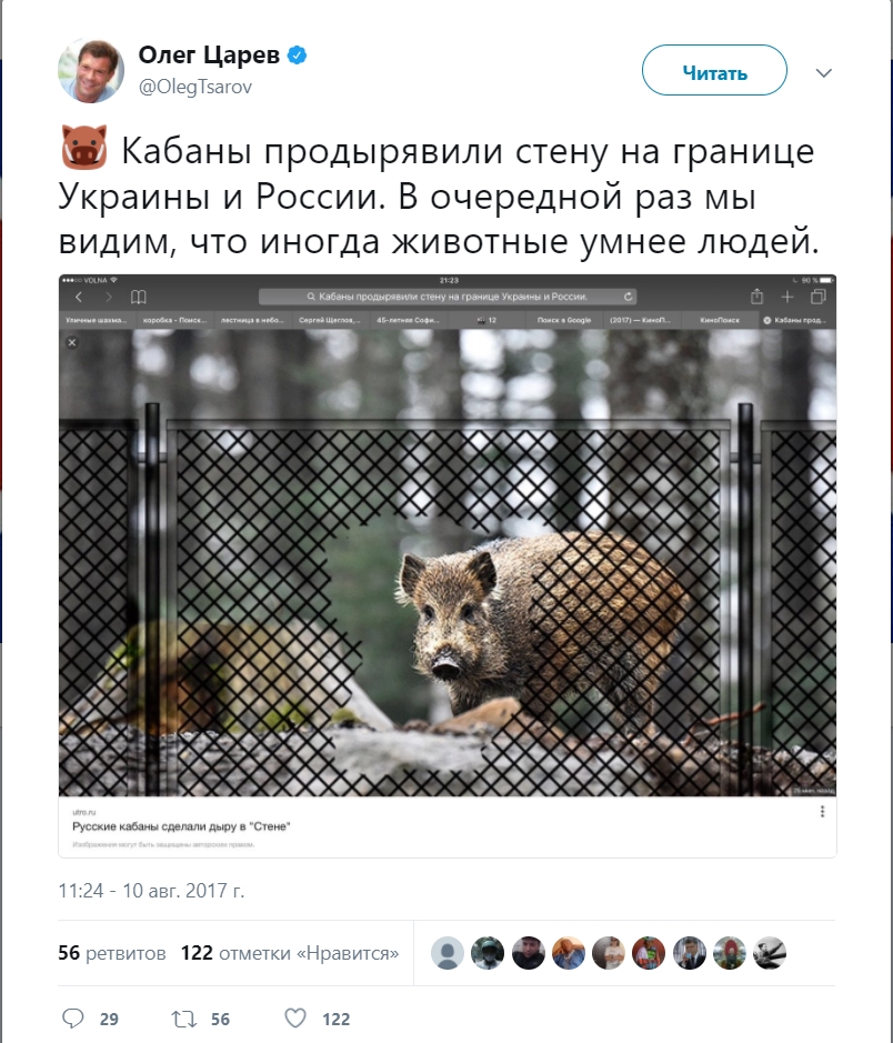 ЦАРЁВ ПРОКОММЕНТИРОВАЛ ПРОРЫВ КАБАНАМИ СТЕНЫ НА УКРАИНСКОЙ ГРАНИЦЕ С РФ ЦАРЁВ ПРОКОММЕНТИРОВАЛ ПРОРЫВ КАБАНАМИ СТЕНЫ НА УКРАИНСКОЙ ГРАНИЦЕ С РФ