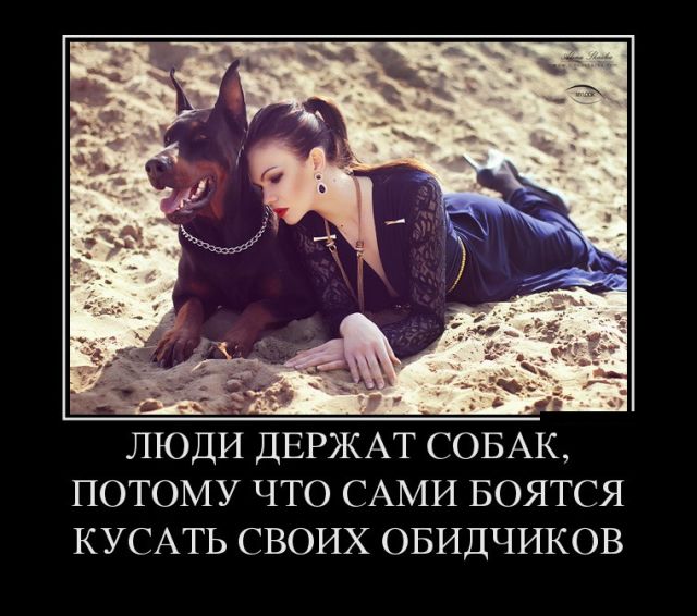 Забавные и веселые демотиваторы со смыслом (11 фото) Забавные и веселые демотиваторы со смыслом (11 фото)