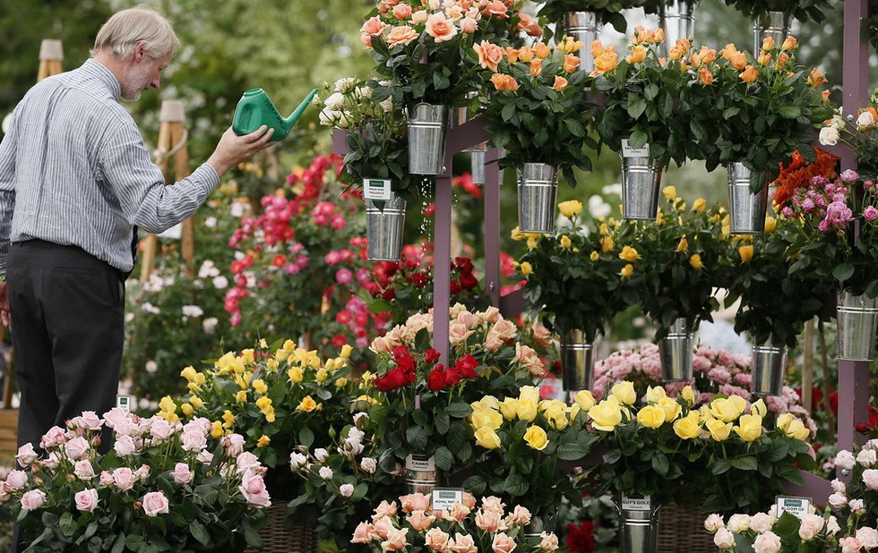 Moscow Flower Show: фестиваль цветов, развлечений и положительных эмоций