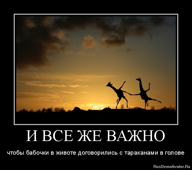 НЕ НЕСИТЕ НА СЕБЕ ЧУЖИЕ ПРОБЛЕМЫ НЕ НЕСИТЕ НА СЕБЕ ЧУЖИЕ ПРОБЛЕМЫ