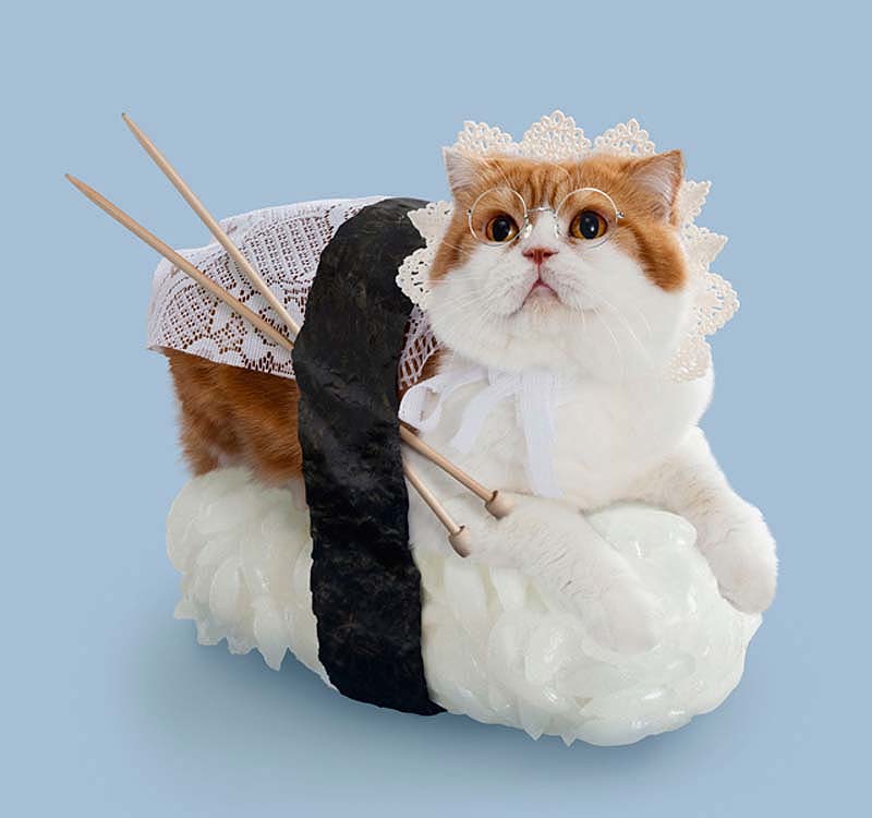 kotosushi 13 Котосуши