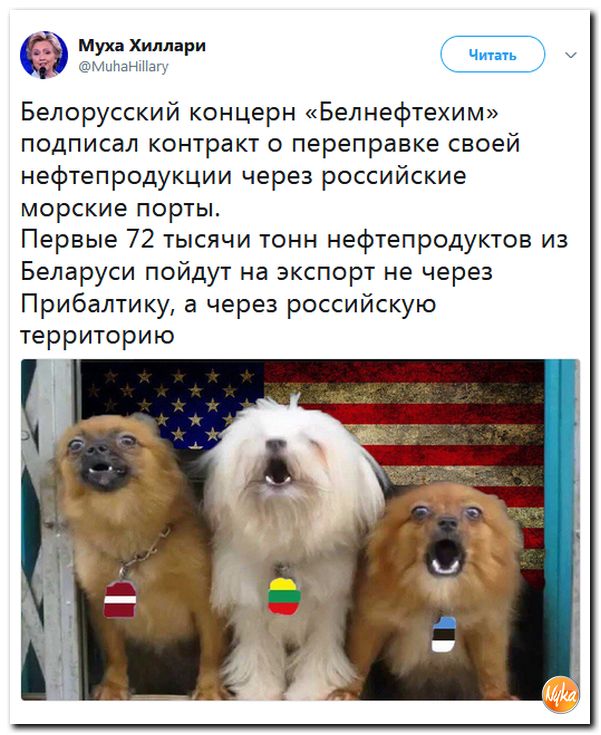 Злобные(сарказм) комментарии о последних событиях в мире Злобные(сарказм) комментарии о последних событиях в мире