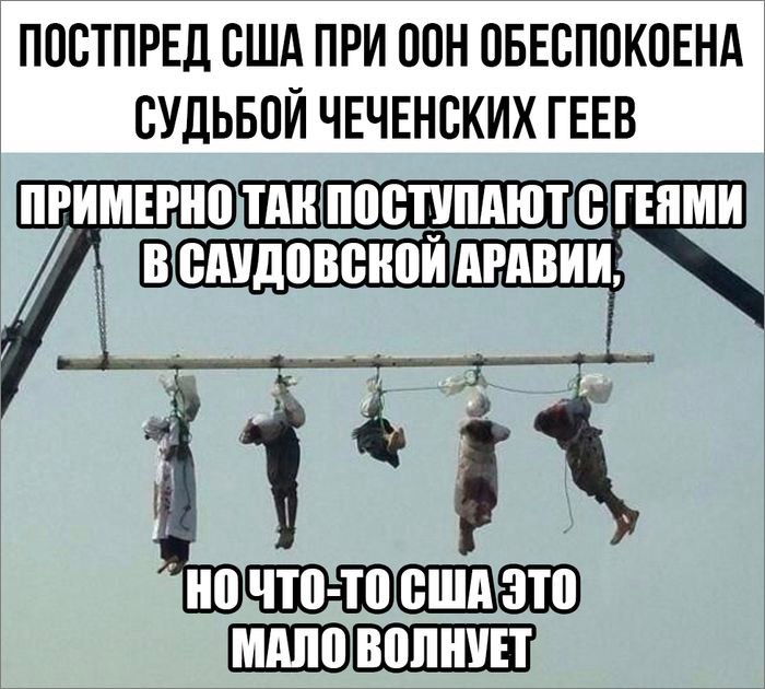 Еврогеи атаковали Чечню. Очень хочется глобалистам смуты на Кавказе