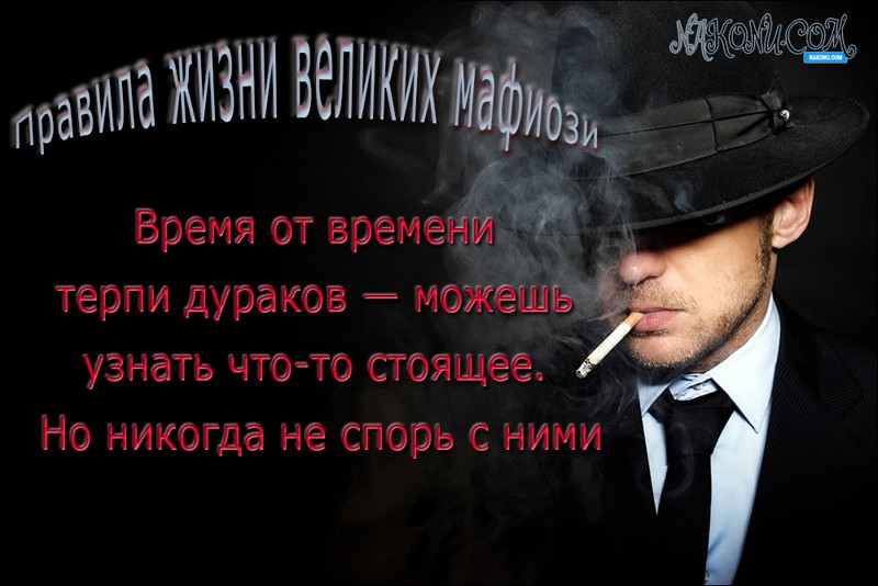 Подлокотник для вашего автомобиля - какие бывают виды? Подарок маме: купить оригинальный подарок в Киеве, Украине