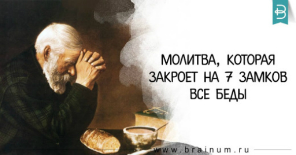 7-brainum-1508490777k84ng-520x273