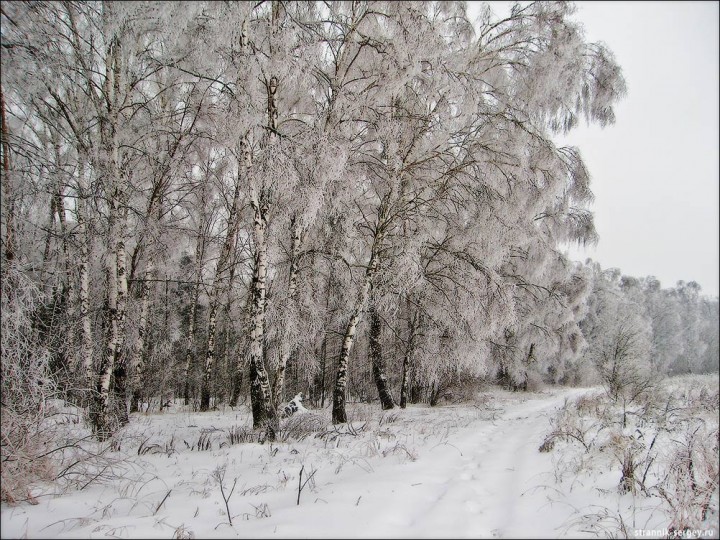 Редкое явление природы - после ледяного дождя