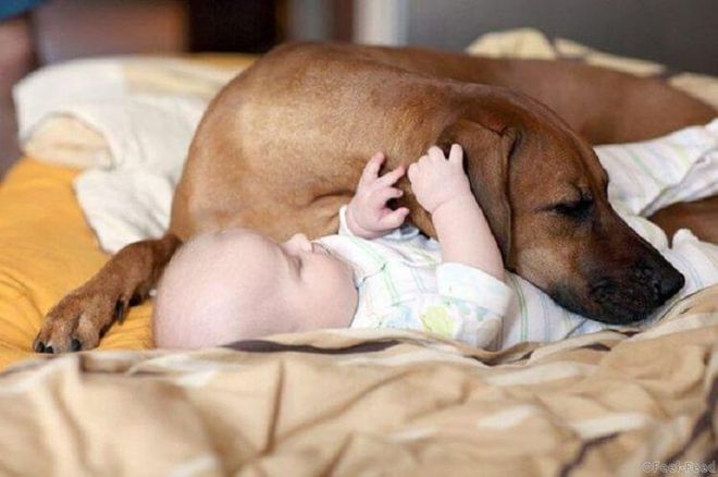 33 фото, которые улыбнут всех родителей 33 фото, которые улыбнут всех родителей