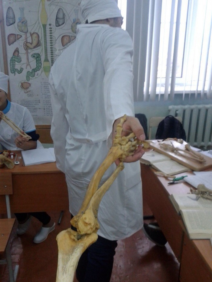 Фотоподборка дня от Михалыча! Фотоподборка дня от Михалыча!