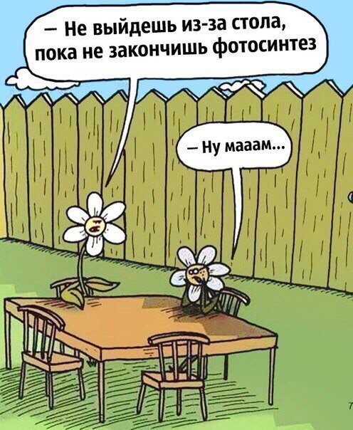 30 сумасшедших картинок из параллельной вселенной