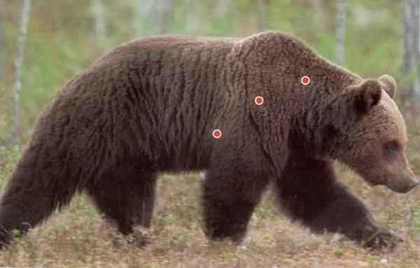 304