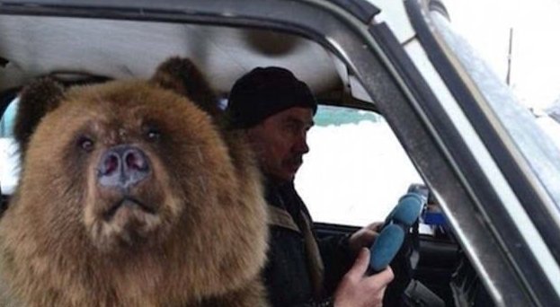Вип-пассажир Вип-пассажир дорога, путевые заметки, свидетельства, странности, странные люди, трасса, удивительное, фотографии