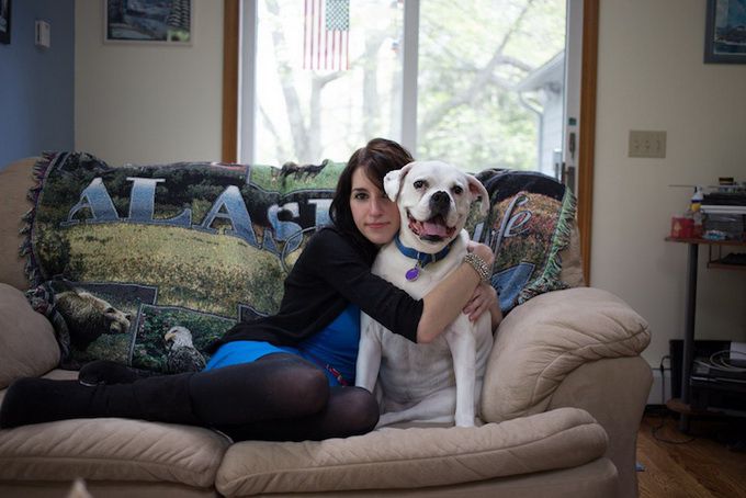 животные, отношения, люди, приют