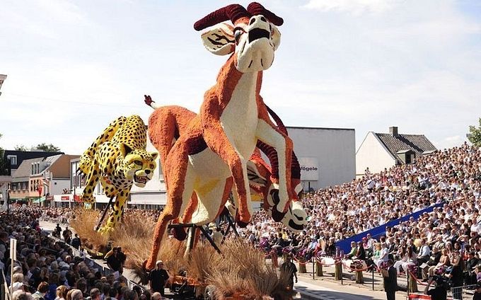 ����������� ��������� ���������� �� ������ Bloemencorso Zundert (21)