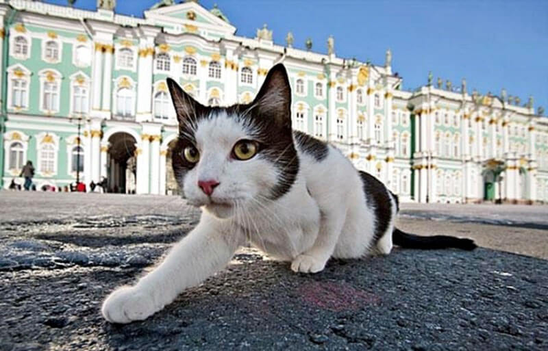1361