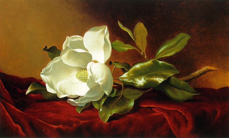 File:Martin Johnson Heade - A Magnolia on Red Velvet ATC.jpg
