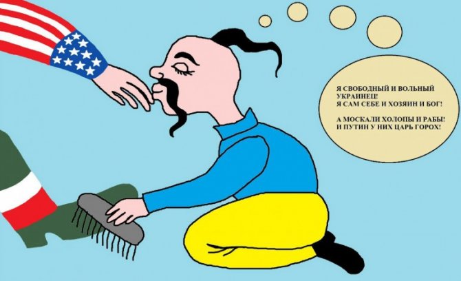 О чём думают майдауны после тотальной промывки мозгов О чём думают майдауны после тотальной промывки мозгов