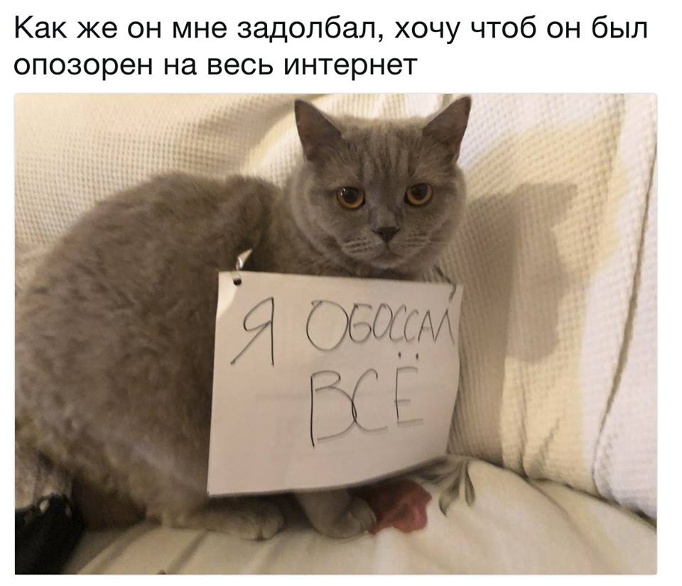 Ну все, Вася, иду бить посуду!