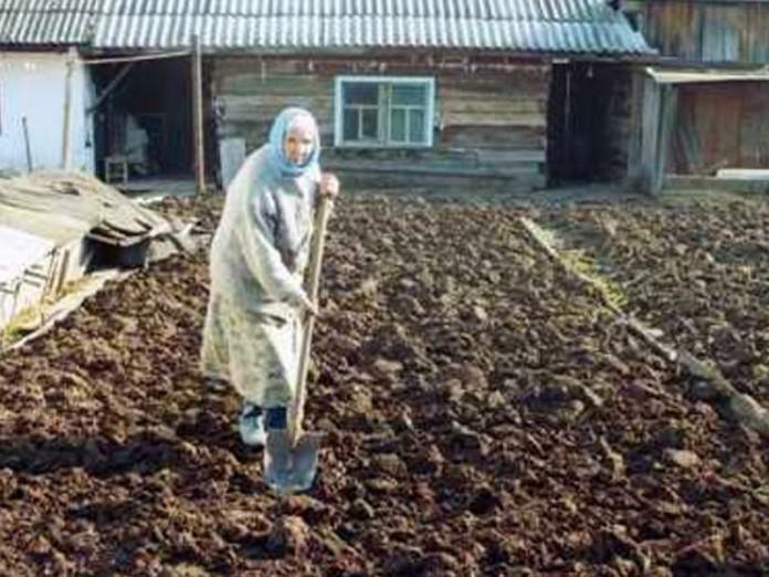 О смерти этой русской бабушки говорили по всем телеканалам Японии О смерти этой русской бабушки говорили по всем телеканалам Японии