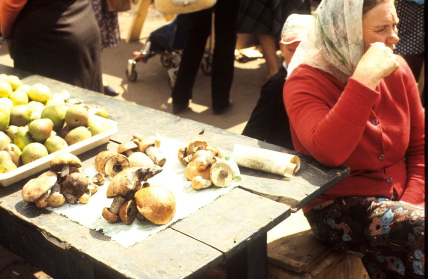 СССР, история, путешествие, туристы