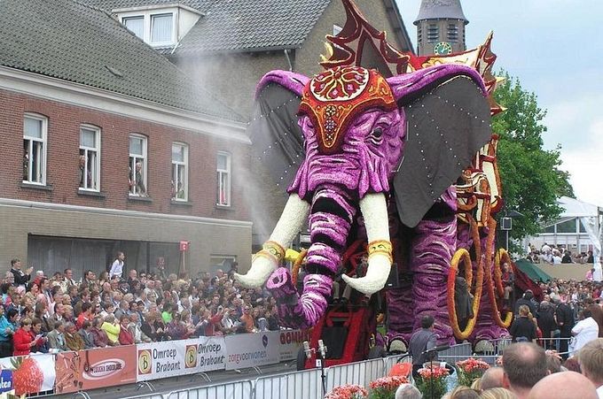 ����������� ��������� ���������� �� ������ Bloemencorso Zundert (11)