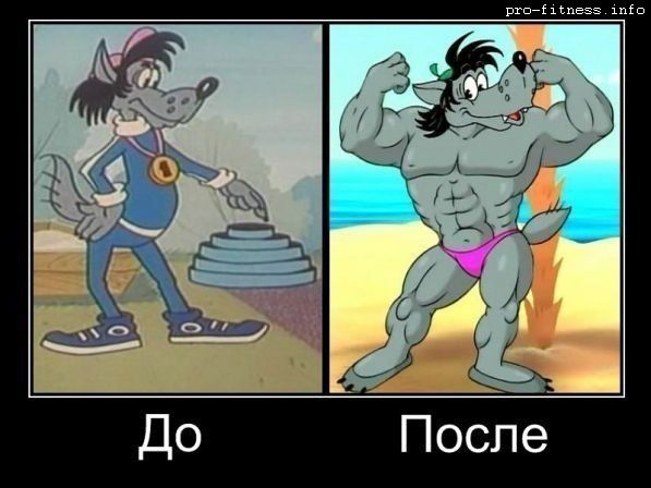 Фитнес-Юмор