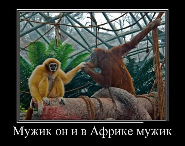 А тем временем во френдзоне… Свежие ржачно-оборжачные демотиваторы А тем временем во френдзоне… Свежие ржачно-оборжачные демотиваторы