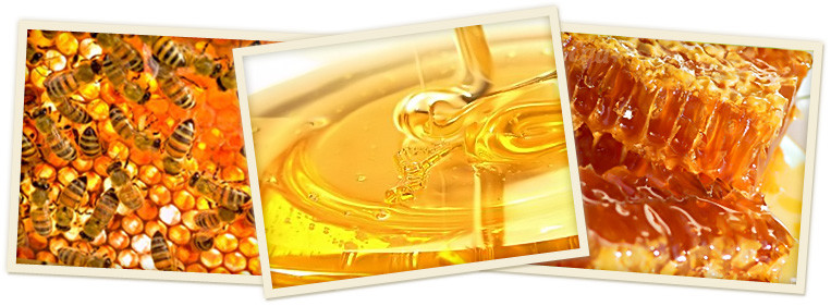 самое древнее блюдо в мире. Смотреть фото самое древнее блюдо в мире. Смотреть картинку самое древнее блюдо в мире. Картинка про самое древнее блюдо в мире. Фото самое древнее блюдо в мире самое древнее блюдо в мире. Смотреть фото самое древнее блюдо в мире. Смотреть картинку самое древнее блюдо в мире. Картинка про самое древнее блюдо в мире. Фото самое древнее блюдо в мире