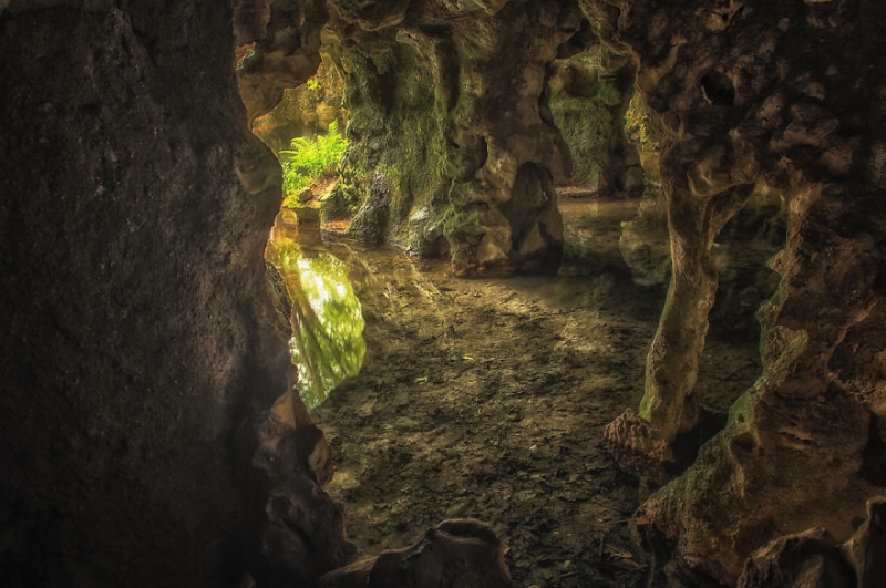      Quinta da Regaleira, 