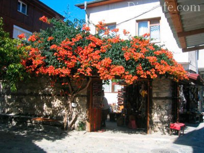 �������� �������