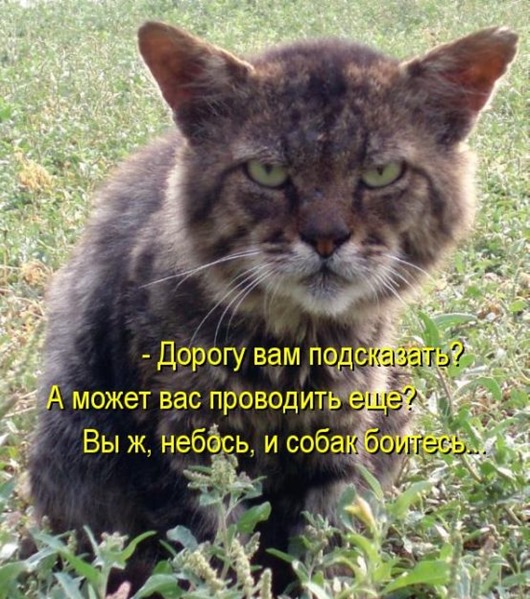 771f27619c056e311259b7d2322