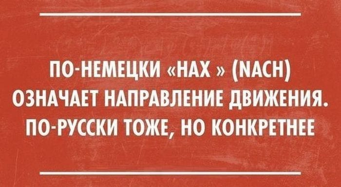 21+ убойных фраз, которые дарят позитив на весь день