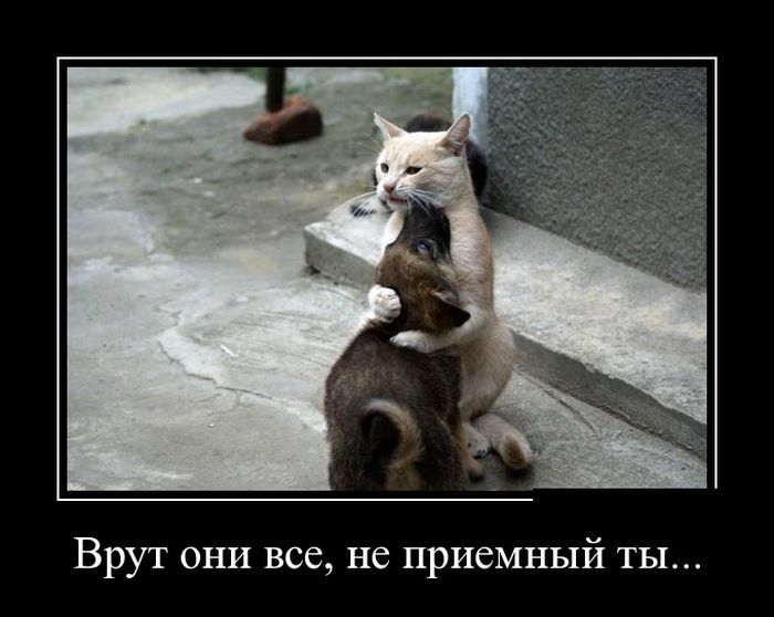 Демотиваторы юмор, демотиваторы