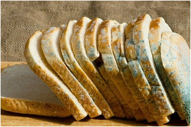 Некоторые продукты с плесенью разрешили есть после ее удаления