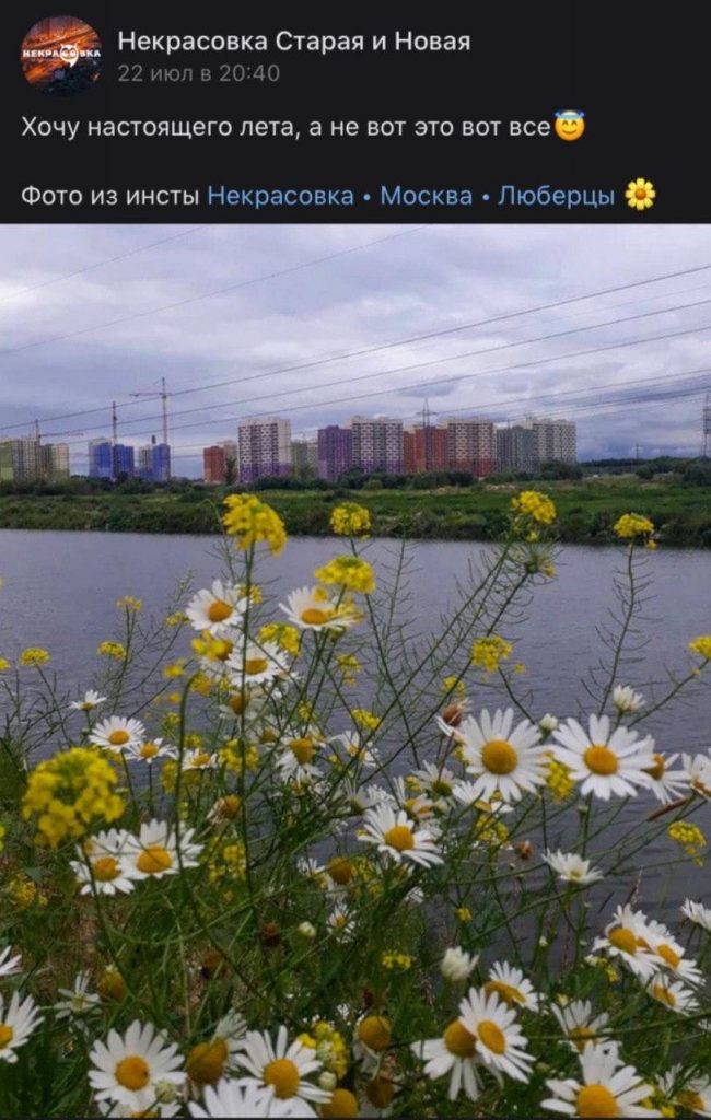 Фото дня: цветы у Черного озера
