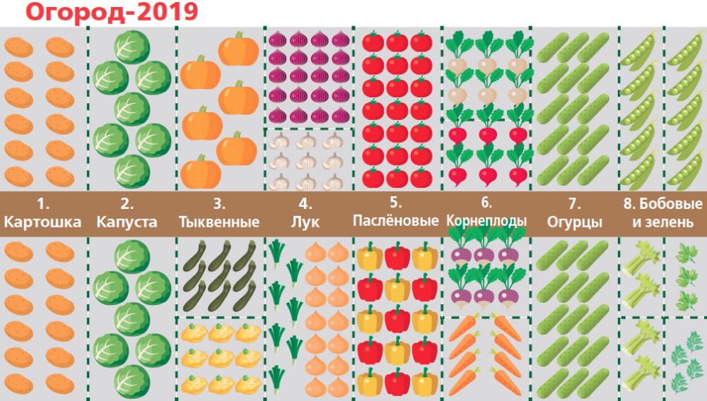 Планы на год 2019: 7 шагов к урожайным грядкам
