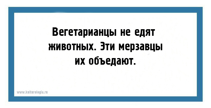 24 юмористических открытки с мудрыми жизненными наблюдениями