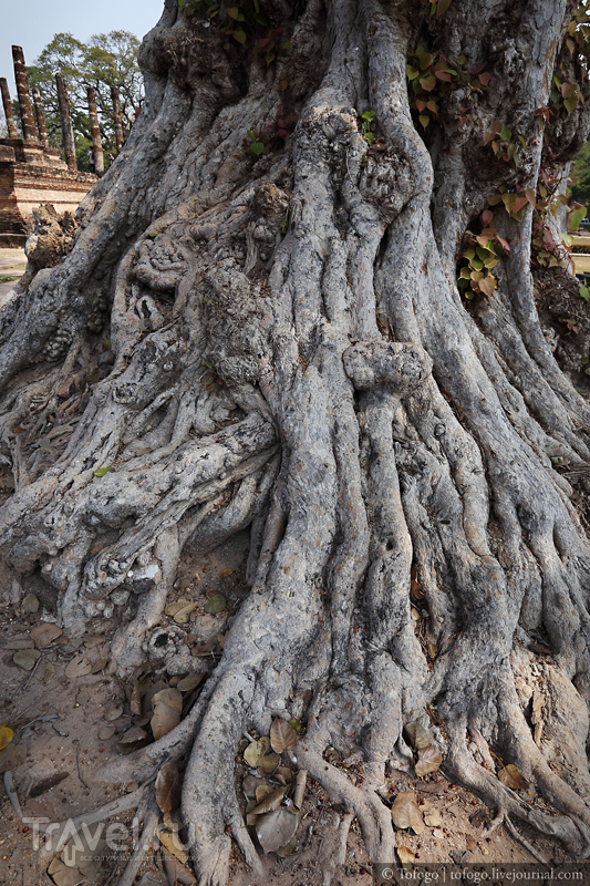 Таиланд. Древняя столица Сукхотай (Sukhothai) / Фото из Таиланда