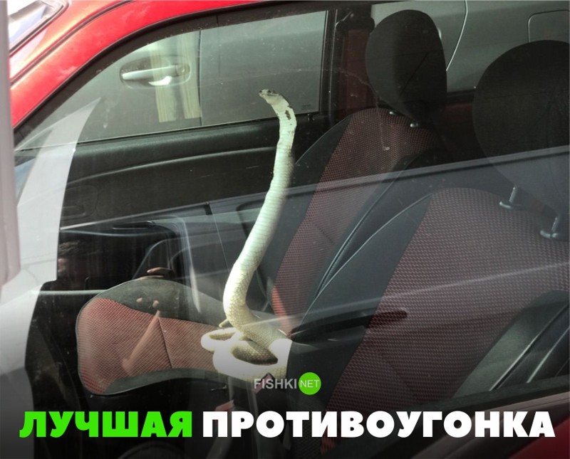 Подборка автомобильных приколов Подборка автомобильных приколов авто, автоприкол, автоприколы, приколы