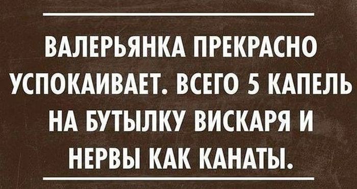 21+ убойных фраз, которые дарят позитив на весь день