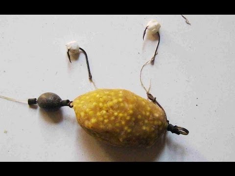 Снасти на карася и карпа Снасти на карася и карпа
