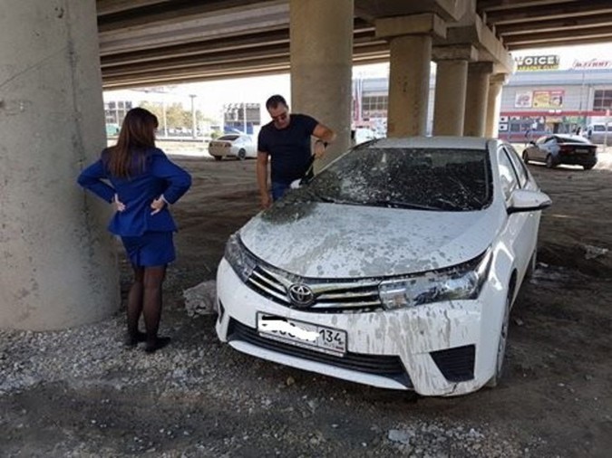 «Олени» года: чем удивили нерадивые автомобилисты в 2016 году «Олени» года: чем удивили нерадивые автомобилисты в 2016 году