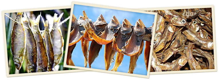 самое древнее блюдо в мире. Смотреть фото самое древнее блюдо в мире. Смотреть картинку самое древнее блюдо в мире. Картинка про самое древнее блюдо в мире. Фото самое древнее блюдо в мире самое древнее блюдо в мире. Смотреть фото самое древнее блюдо в мире. Смотреть картинку самое древнее блюдо в мире. Картинка про самое древнее блюдо в мире. Фото самое древнее блюдо в мире