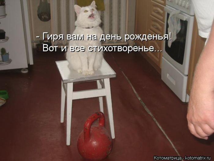 Без кота жизнь не та (50 фото ) Без кота жизнь не та (50 фото )