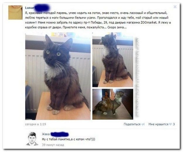 Веселуха в картинках, скринах из соц.сетей. Всех с пятницей! Веселуха в картинках, скринах из соц.сетей. Всех с пятницей!