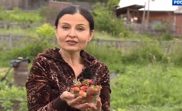 Куда пропала певица Светлана Владимирская