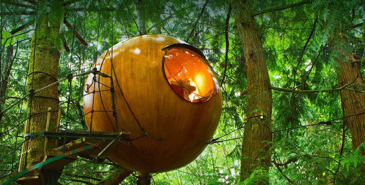 treehouse cabins canada