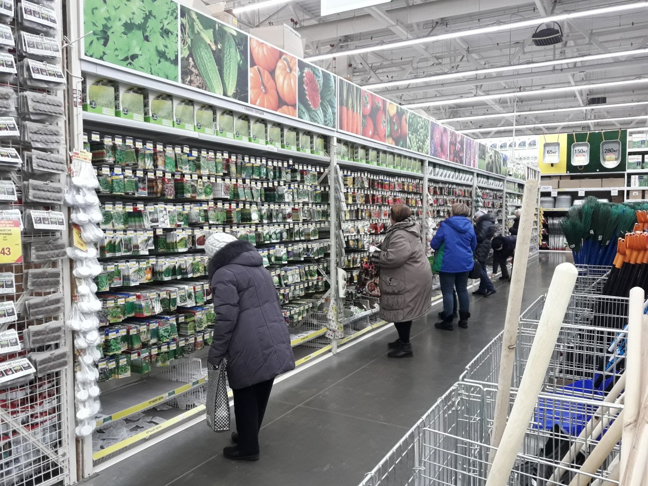 Где Купить Семена В Красноярске