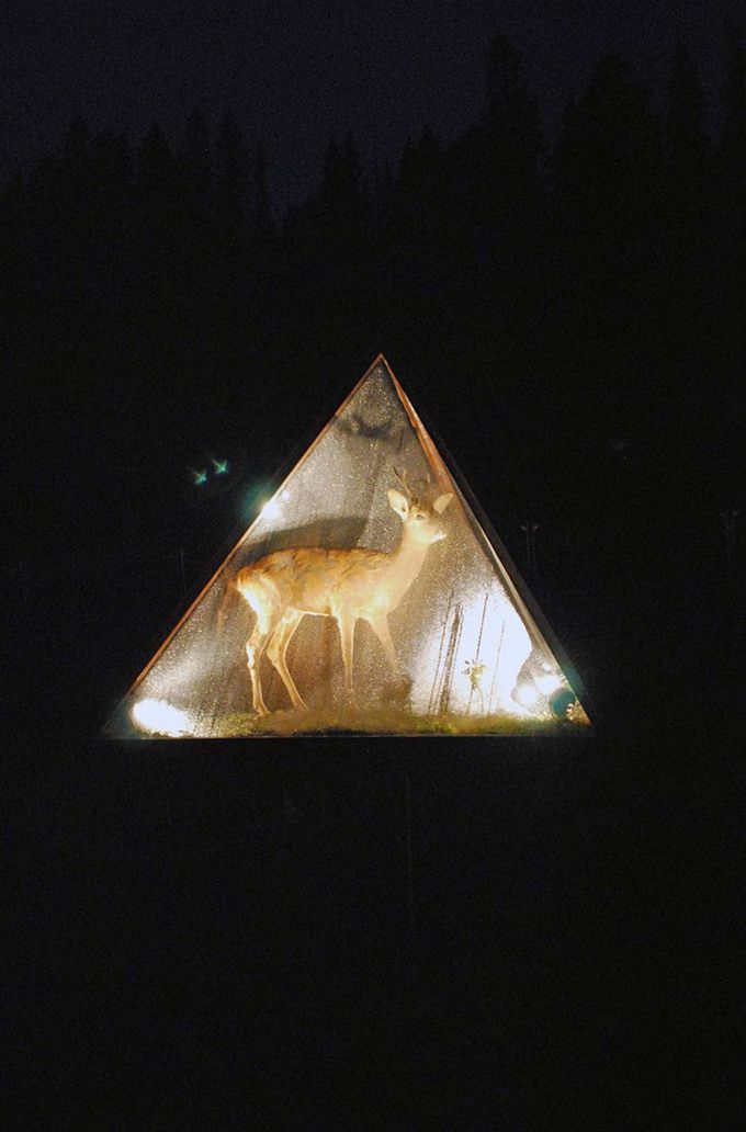 фото, арт, современное искусство