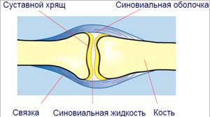 Лечение боли. Здоровье пожилых людей.