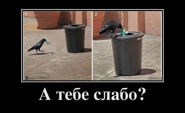 Демотиваторы отличной подборочкой для зарядки позитивом на весь день! Демотиваторы отличной подборочкой для зарядки позитивом на весь день!